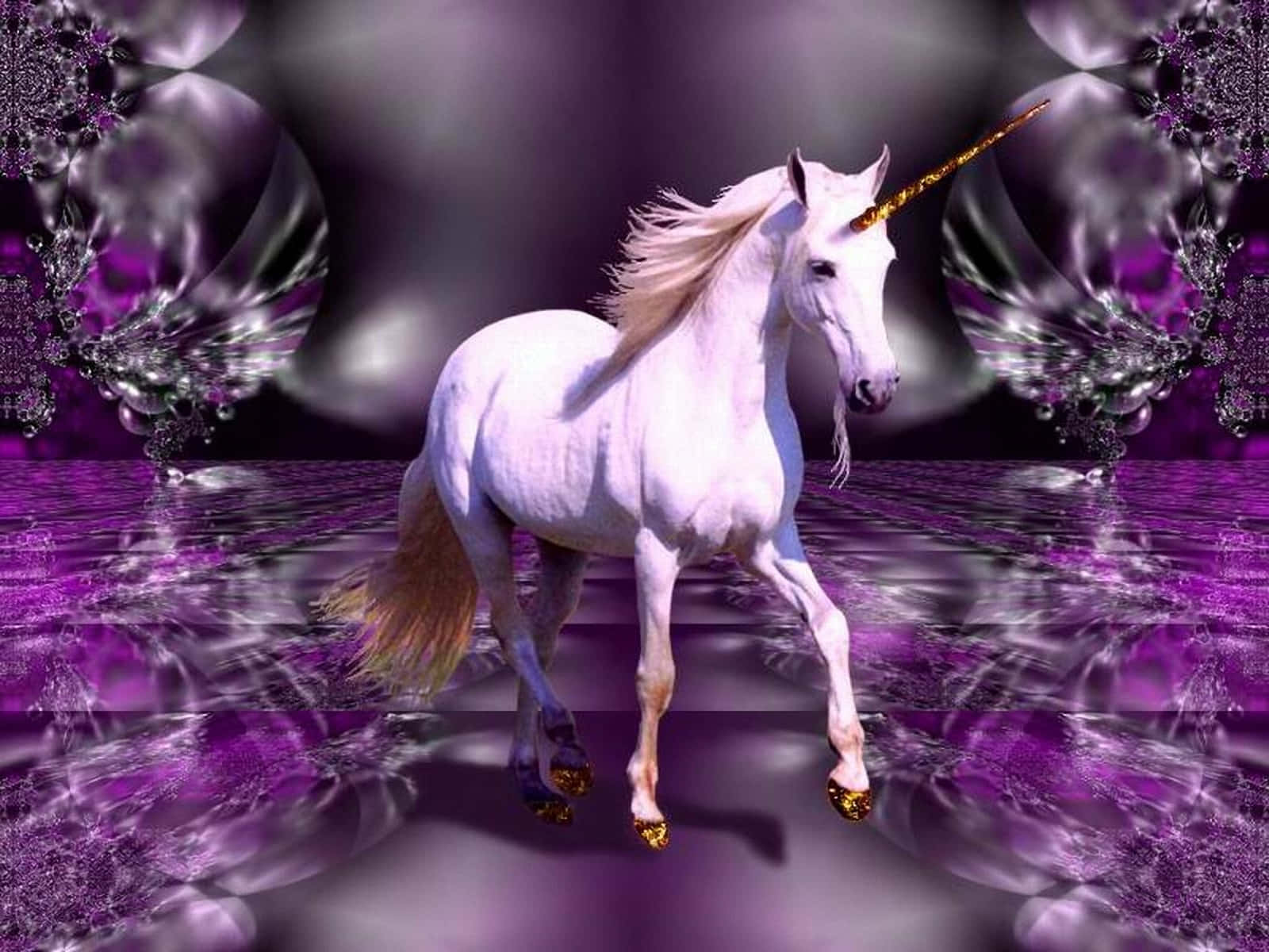 Magical Unicorn Purple Background