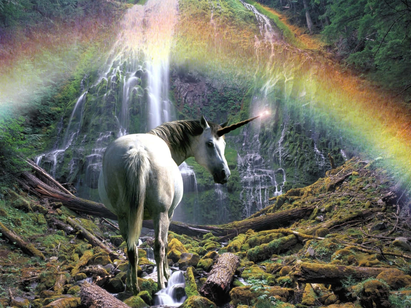 Magical Unicorn Shining Horn Rainbow Background