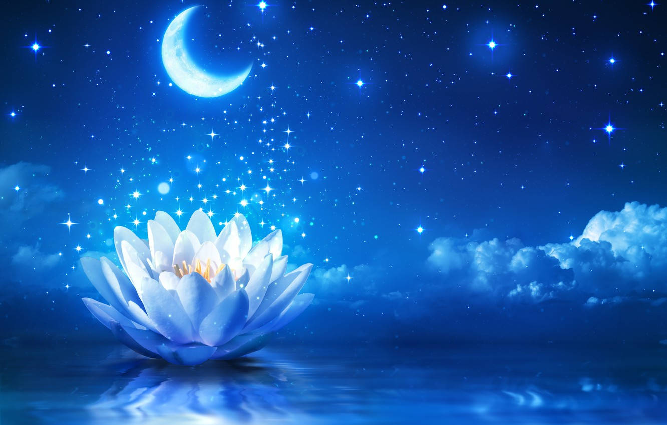 Magical Water Lily Under Stars And Moon