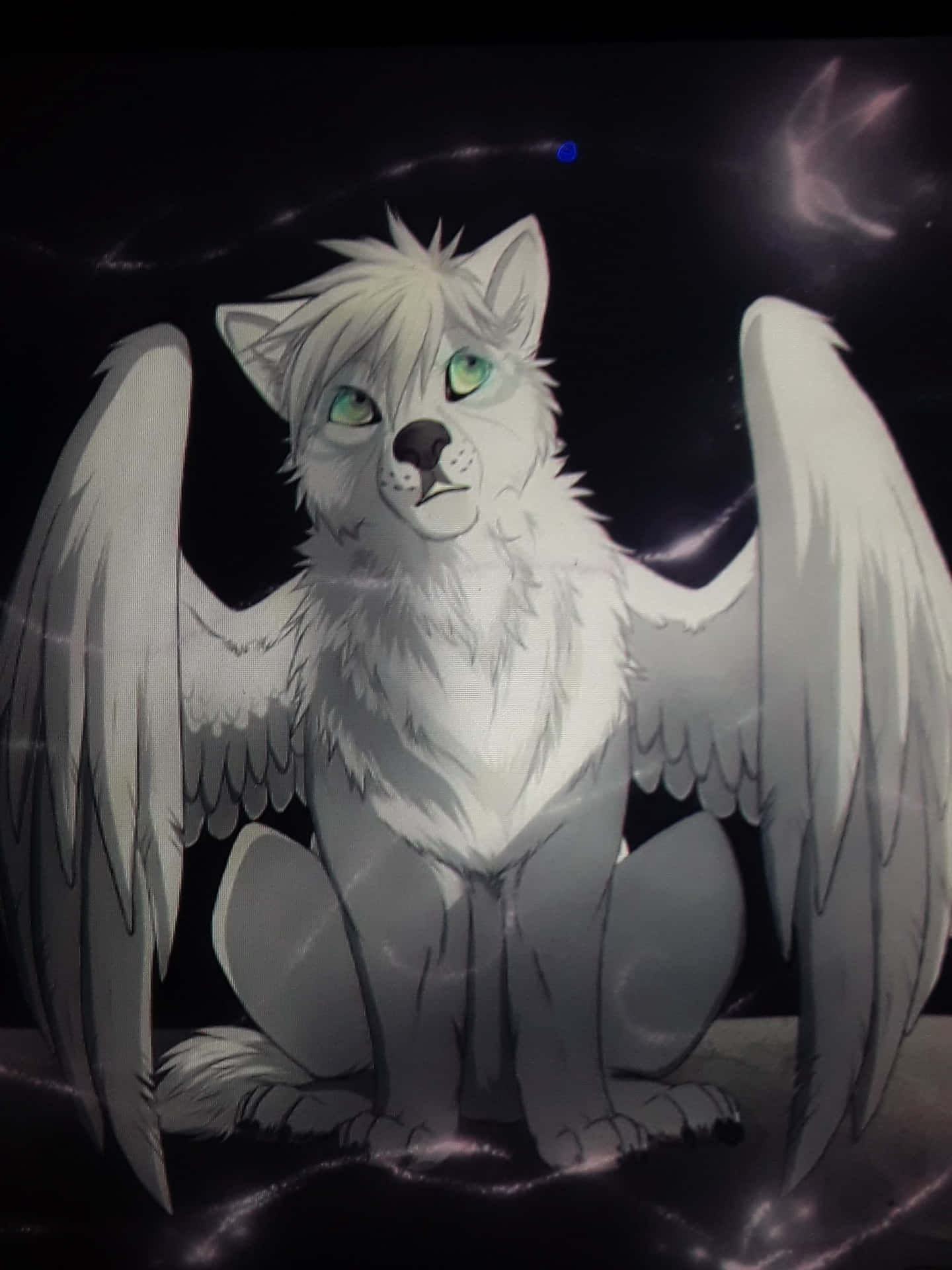 Magical Winged Wolf