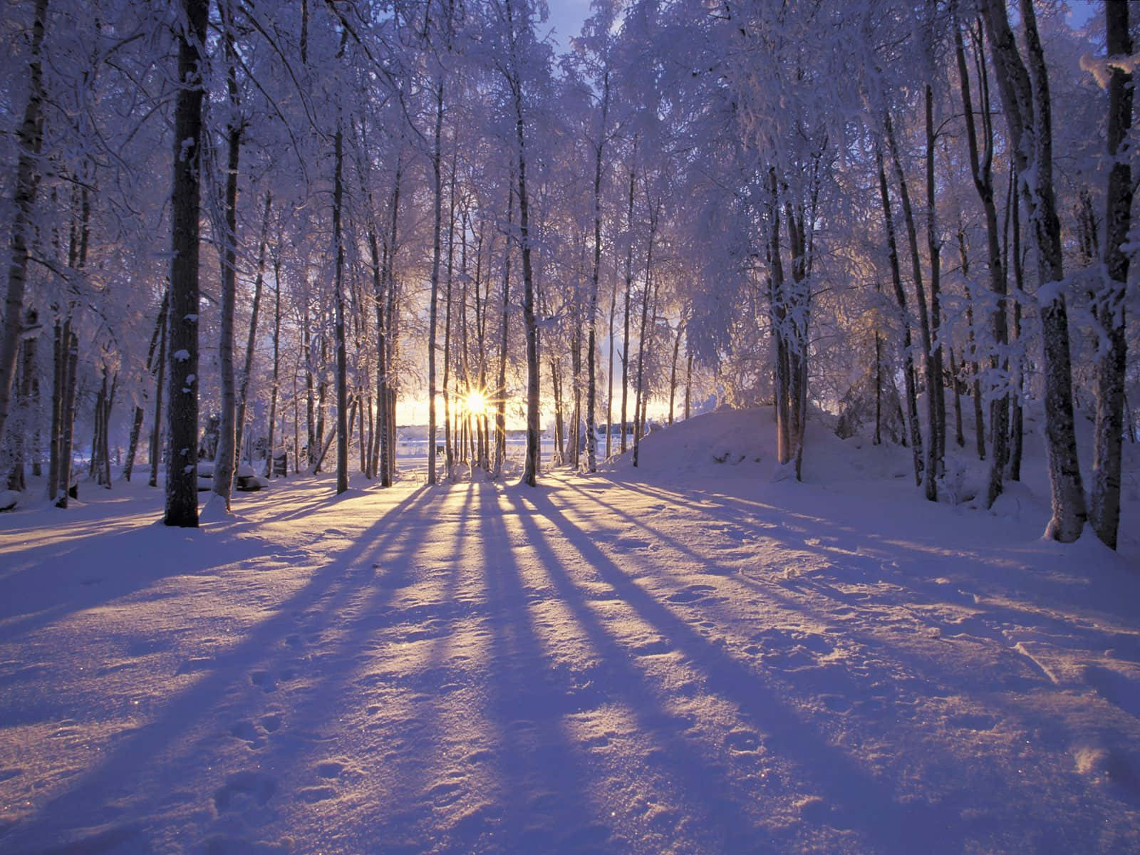 Magical Winter Solstice Night Background