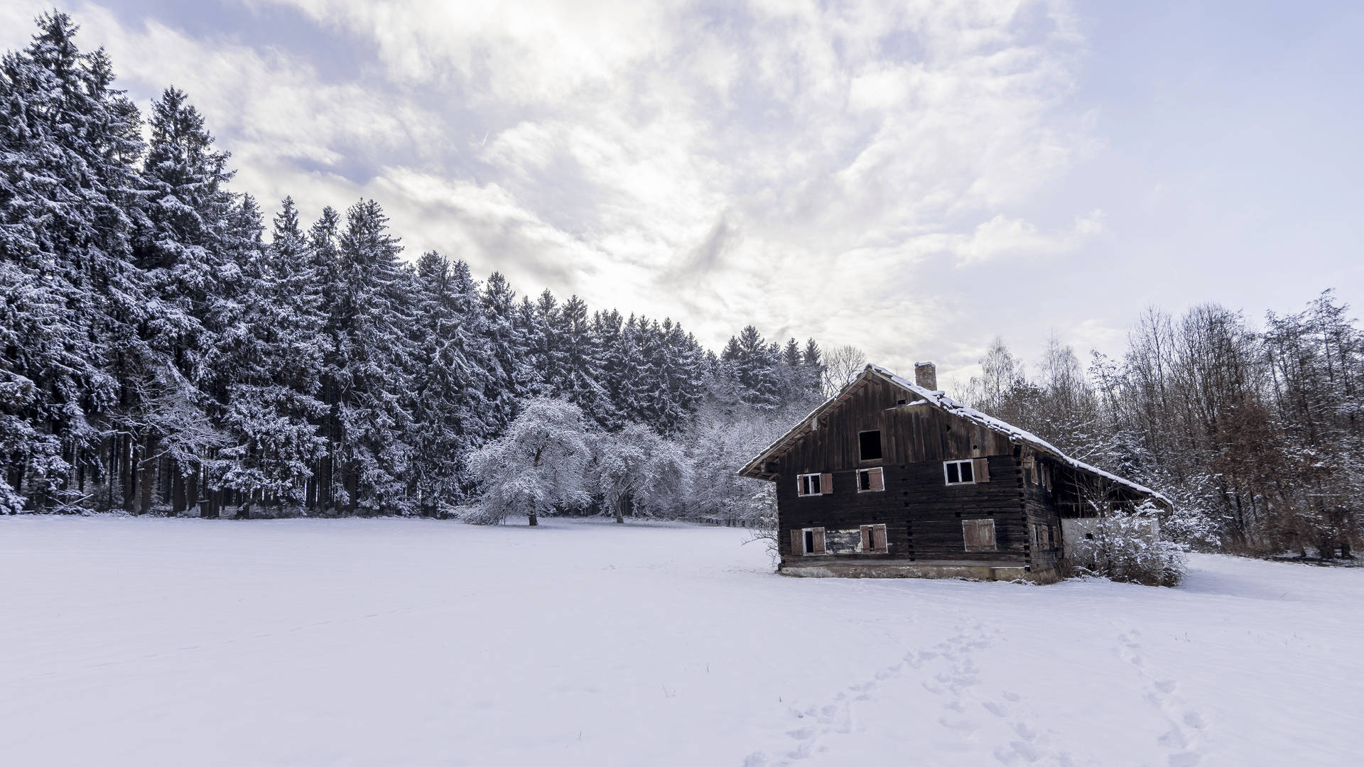 Magical Winter Wonderland Awaits Background