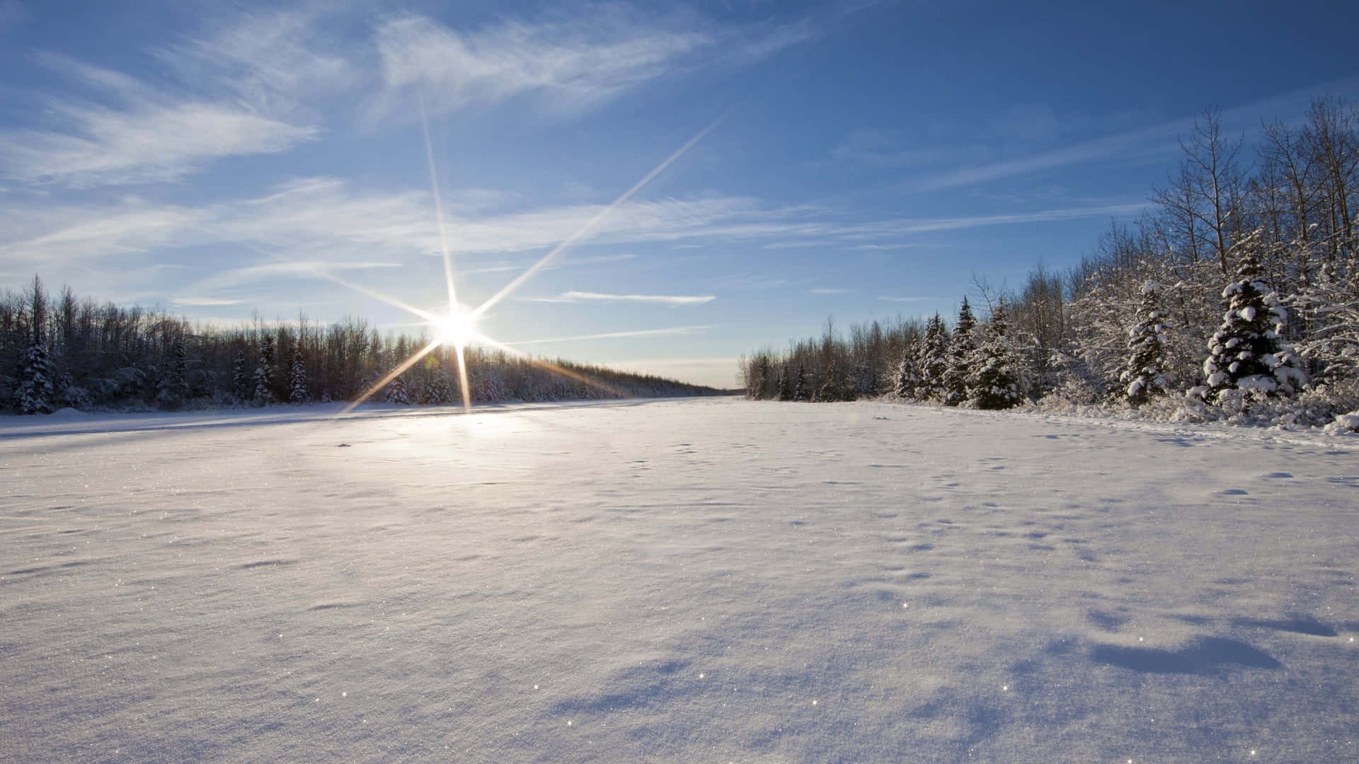 Magical Winter Wonderland Background