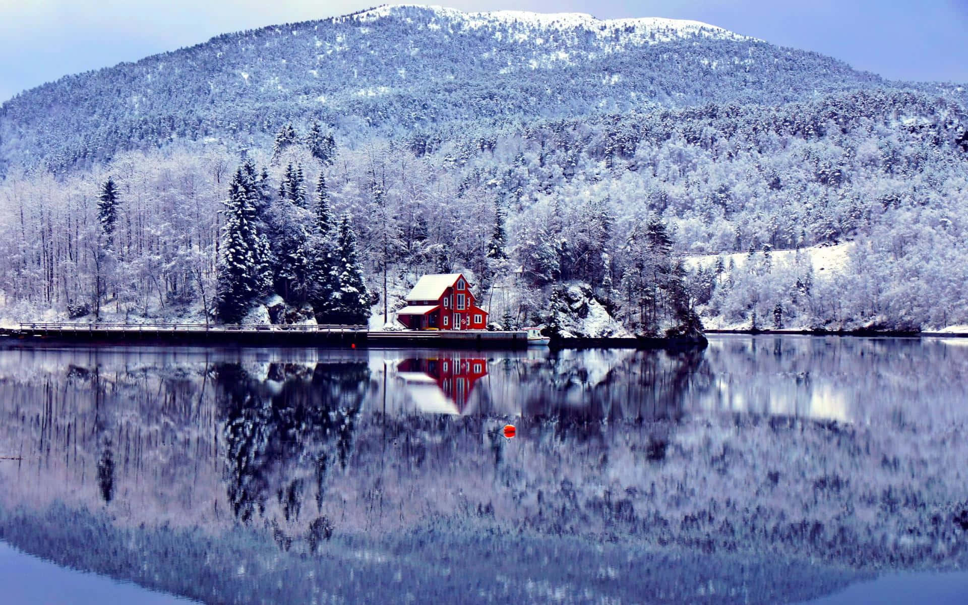Magical Winter Wonderland Scene Background