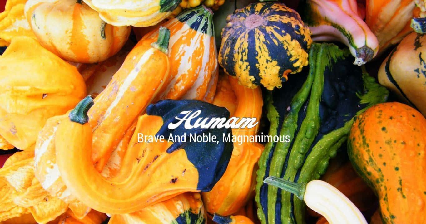 Magnanimous Word In Arabic