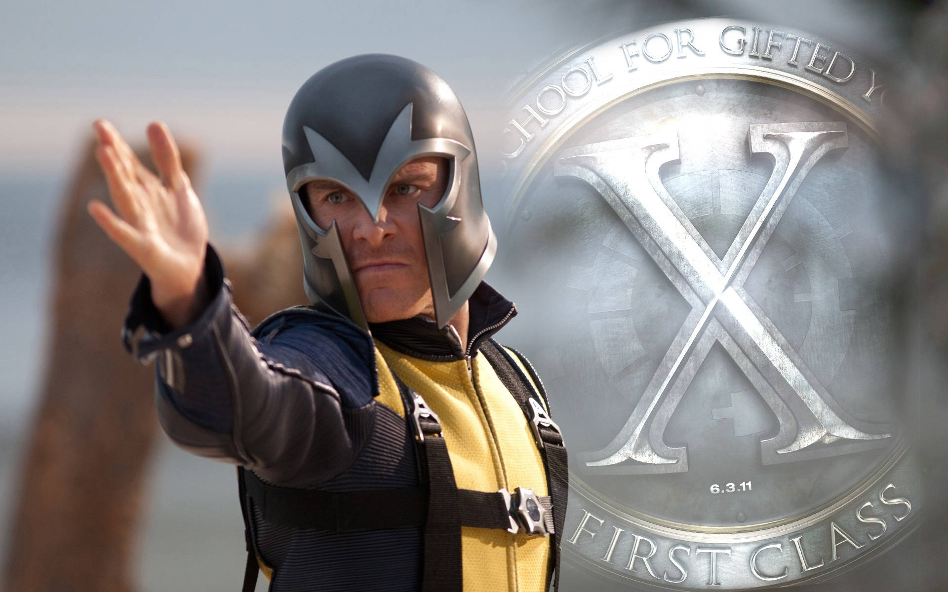 Magneto School For Gifted