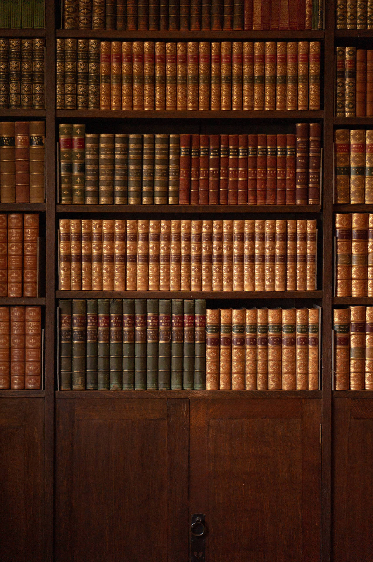 Magnificent Aesthetic Vintage Library Background