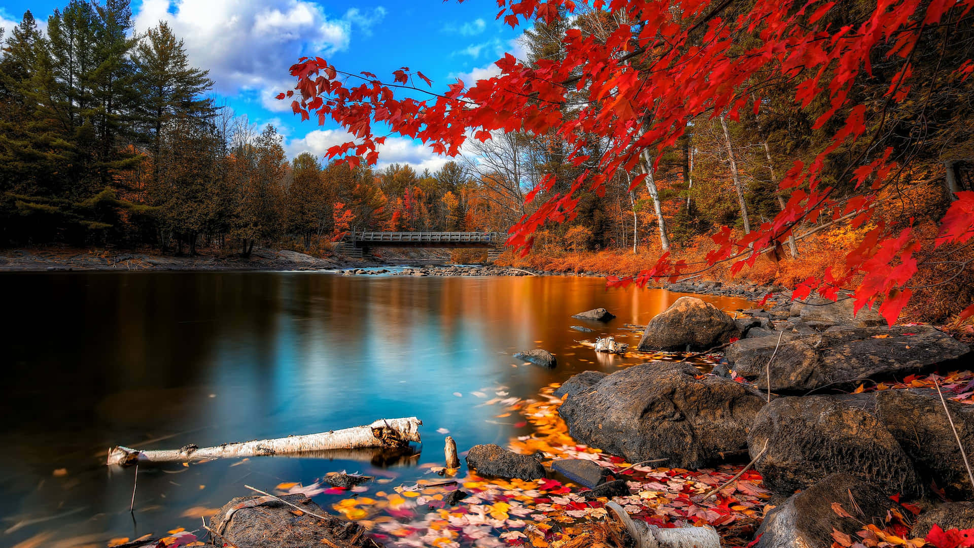 Magnificent Autumn Lake View