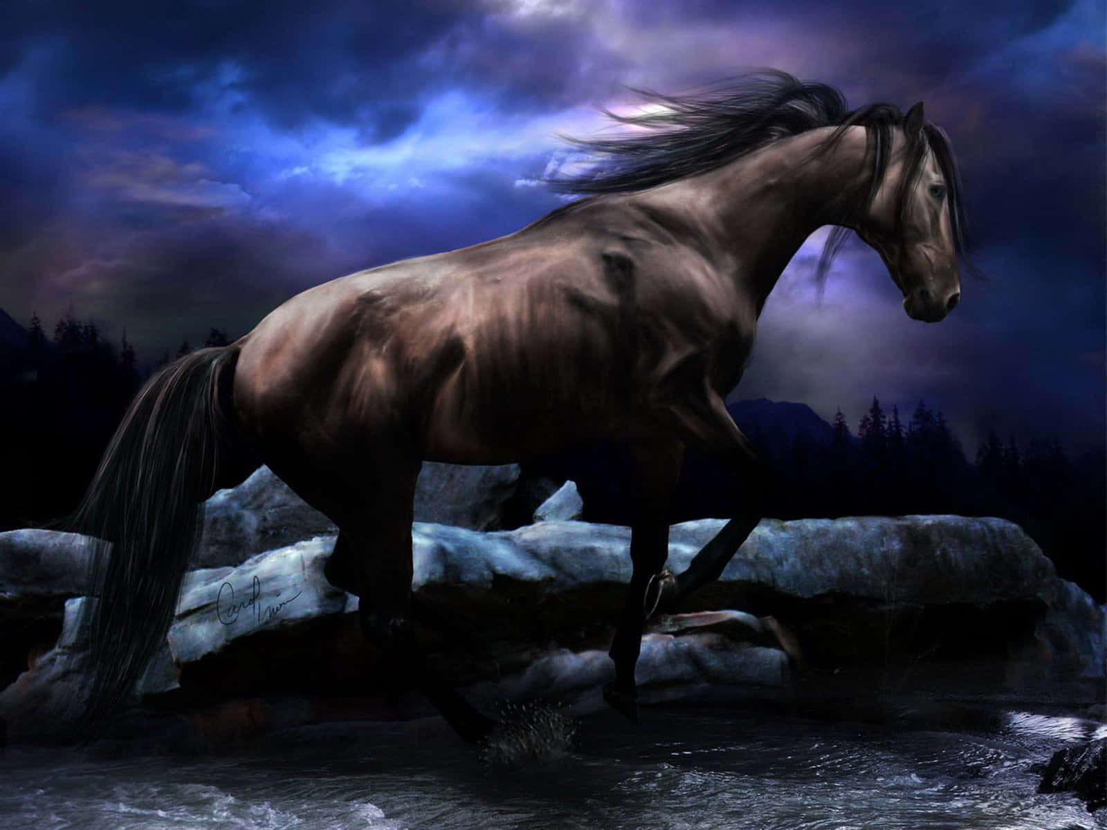 Magnificent Grace Of A Cool Horse Background