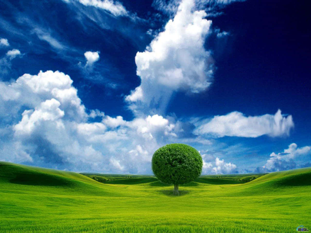 Magnificent Landscape With Round Tree Background