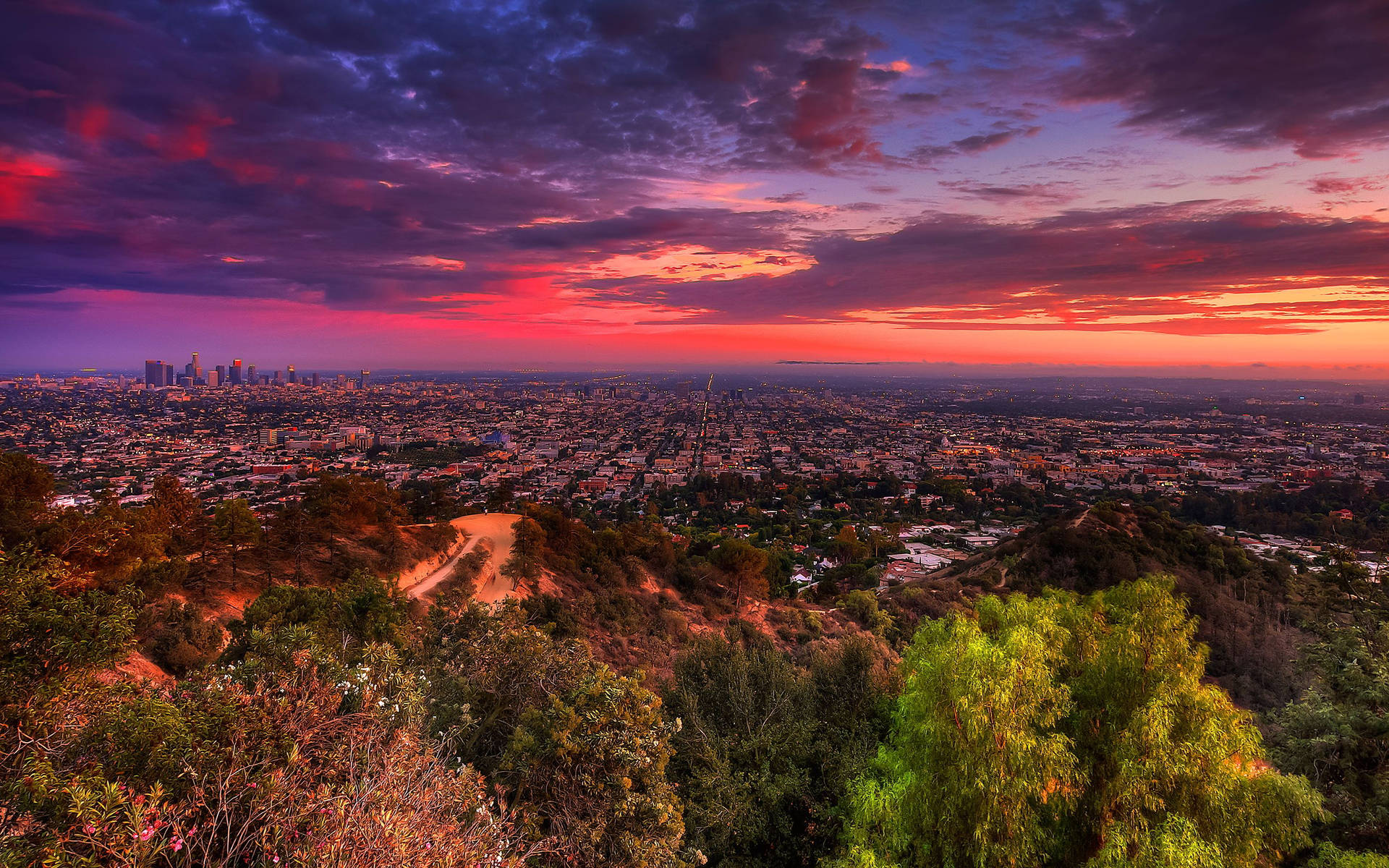 Magnificent Los Angeles Sunset
