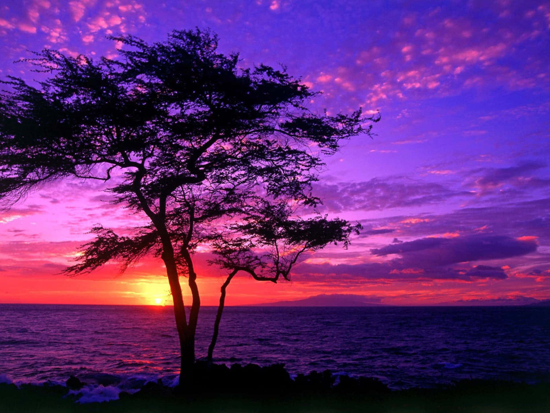 Magnificent Purple Dusk Background