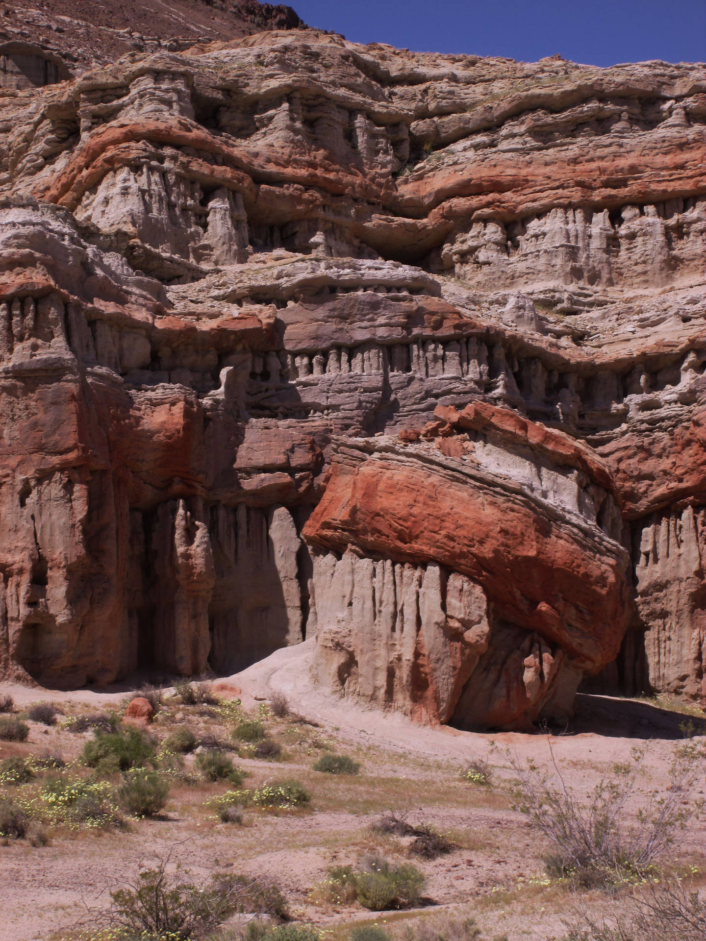 Magnificent Red Rock Formation - Turk's Turban Portrait Background