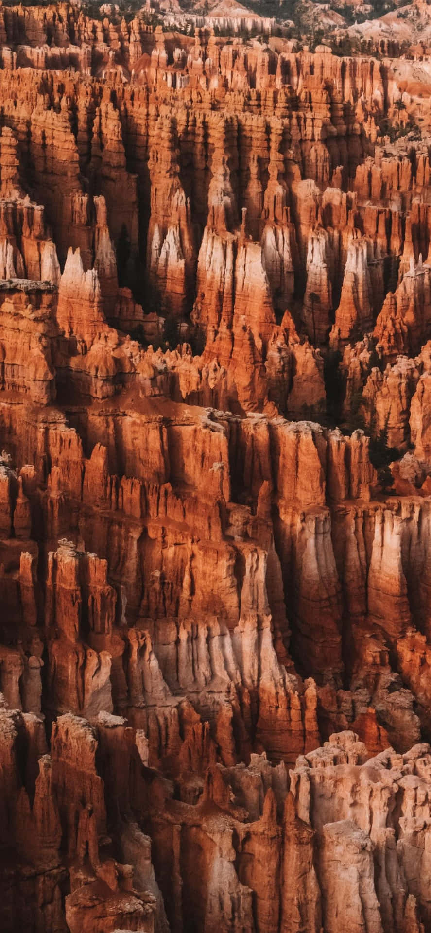 Magnificent Red Spires At Bryce Canyon National Park Background