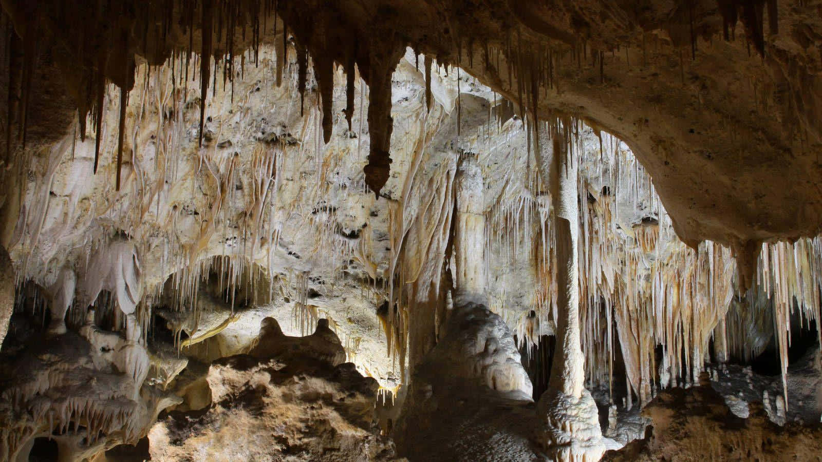 Magnificent Stalagmites And Stalactites Of Carlsbad Caverns National Park Background