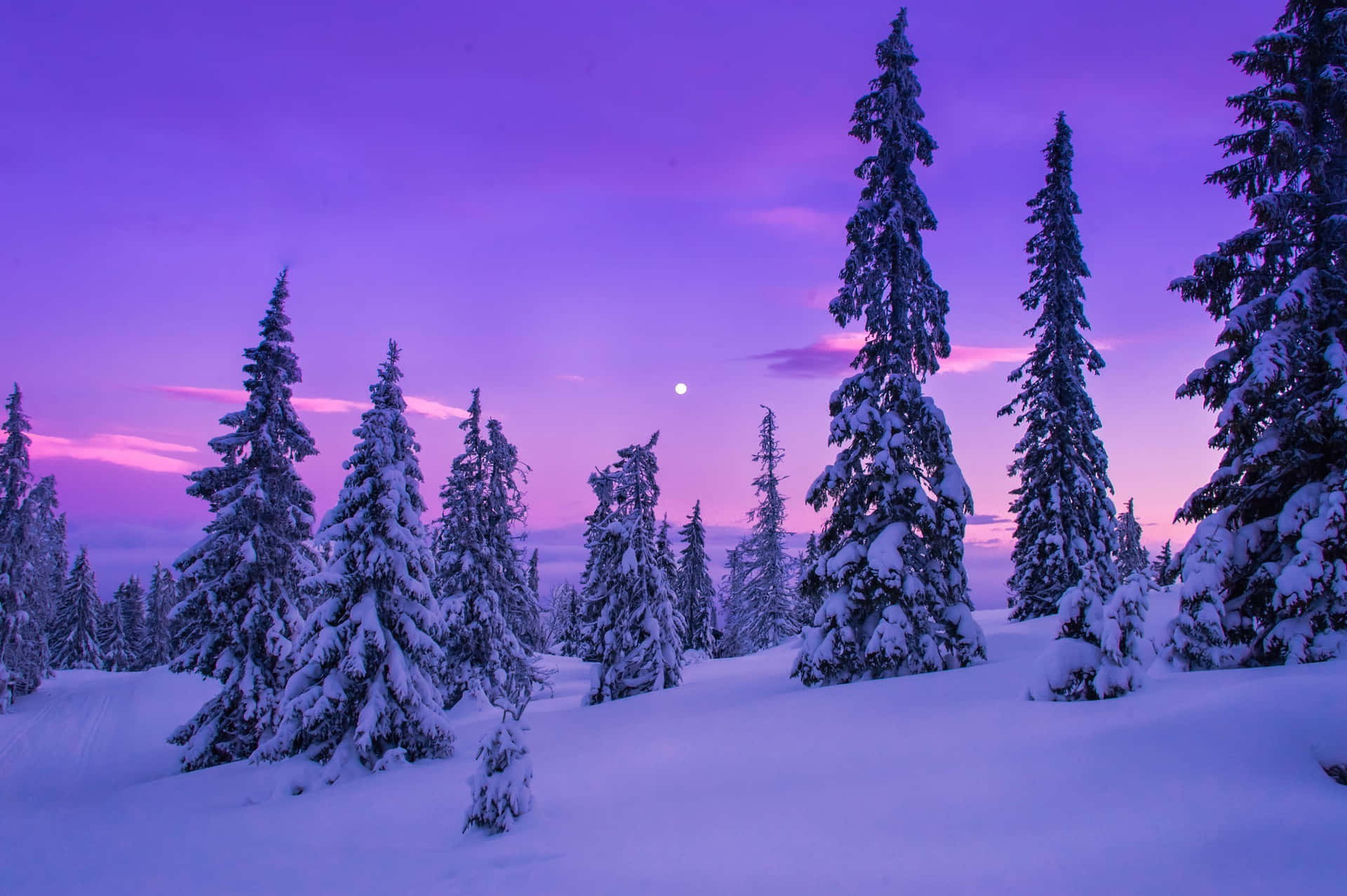 Magnificent Winter Landscape Background