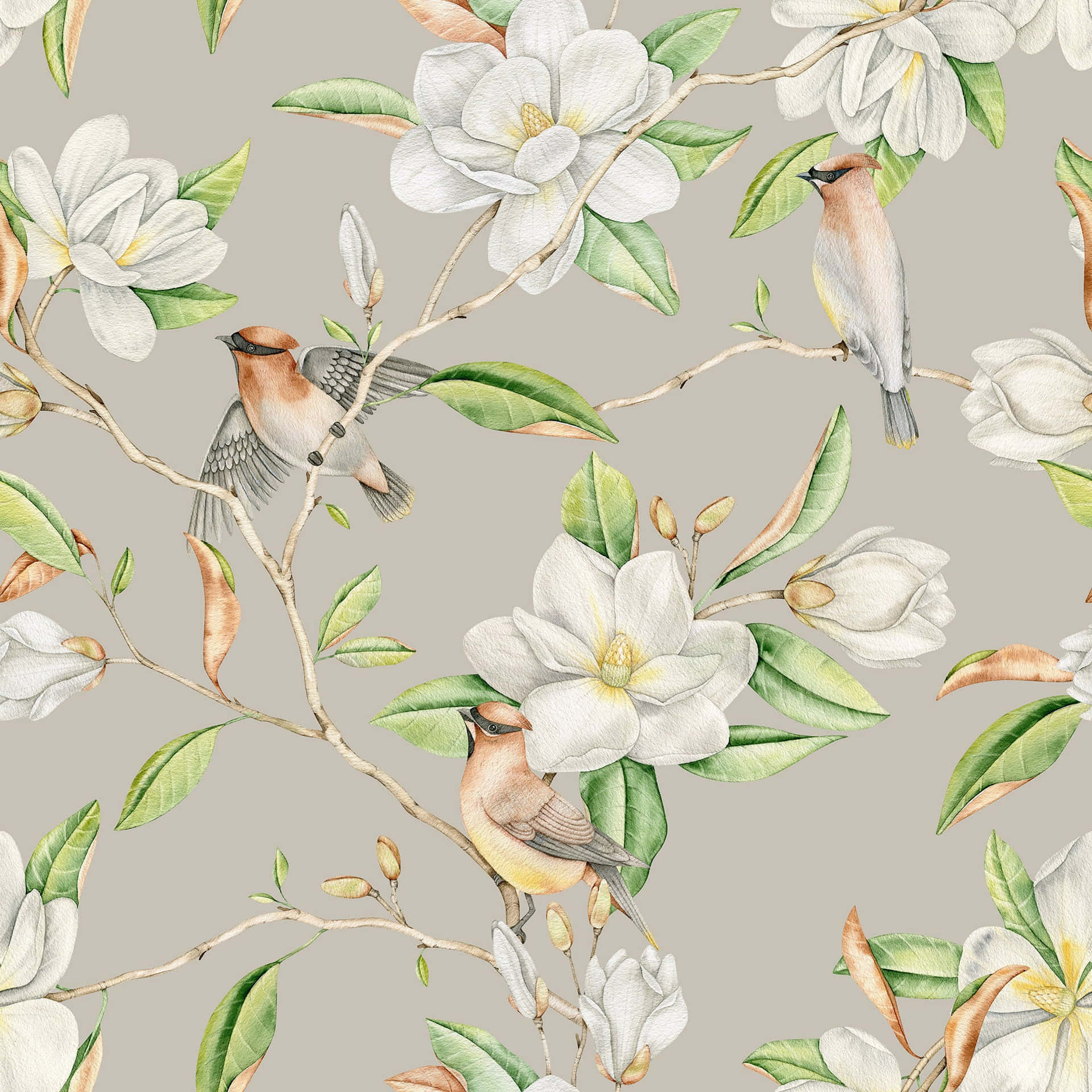 Magnolia Flower Aesthetic Printed Design