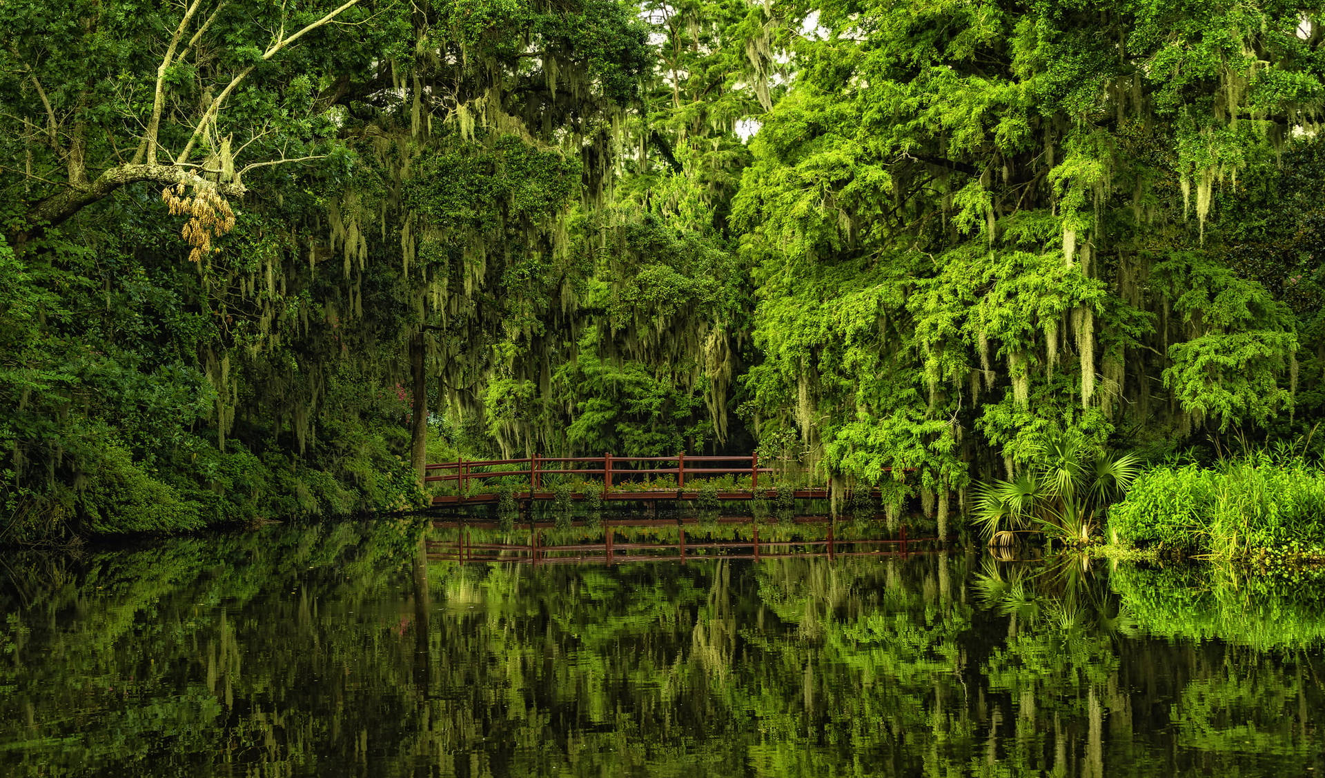 Magnolia Plantation And Gardens South Carolina