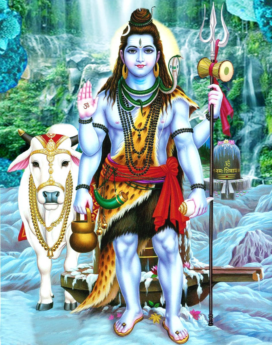 Mahadev Standing With A Cow Hd Background