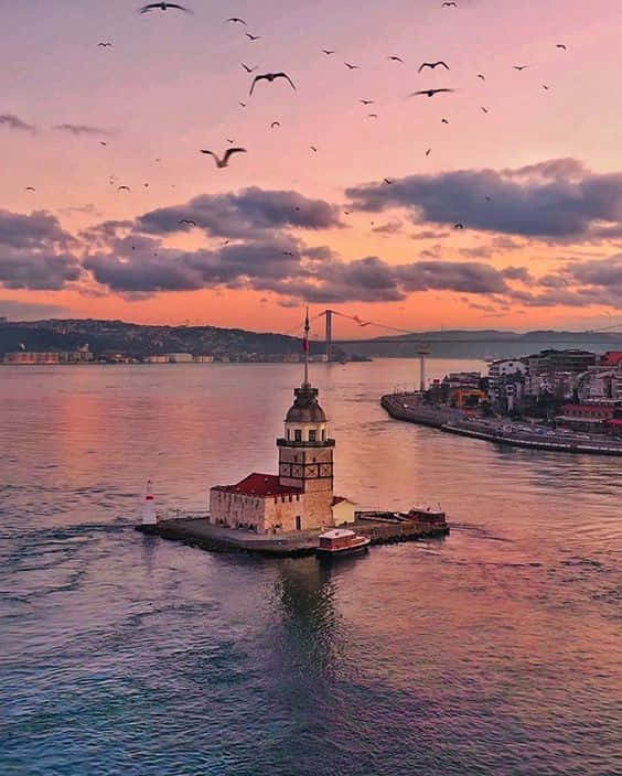 Maiden Tower Istanbul Sunset Background