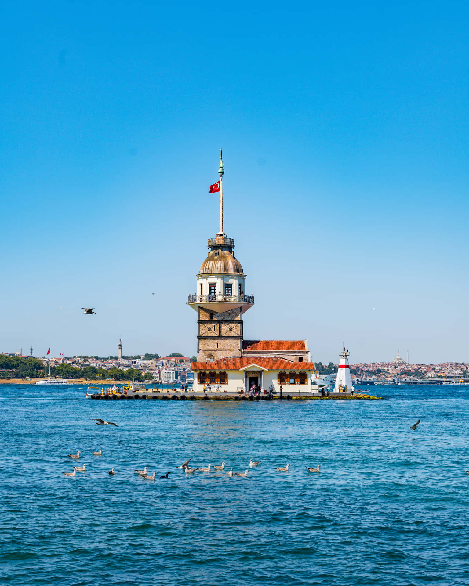 Maiden Tower Istanbul Turkey Background