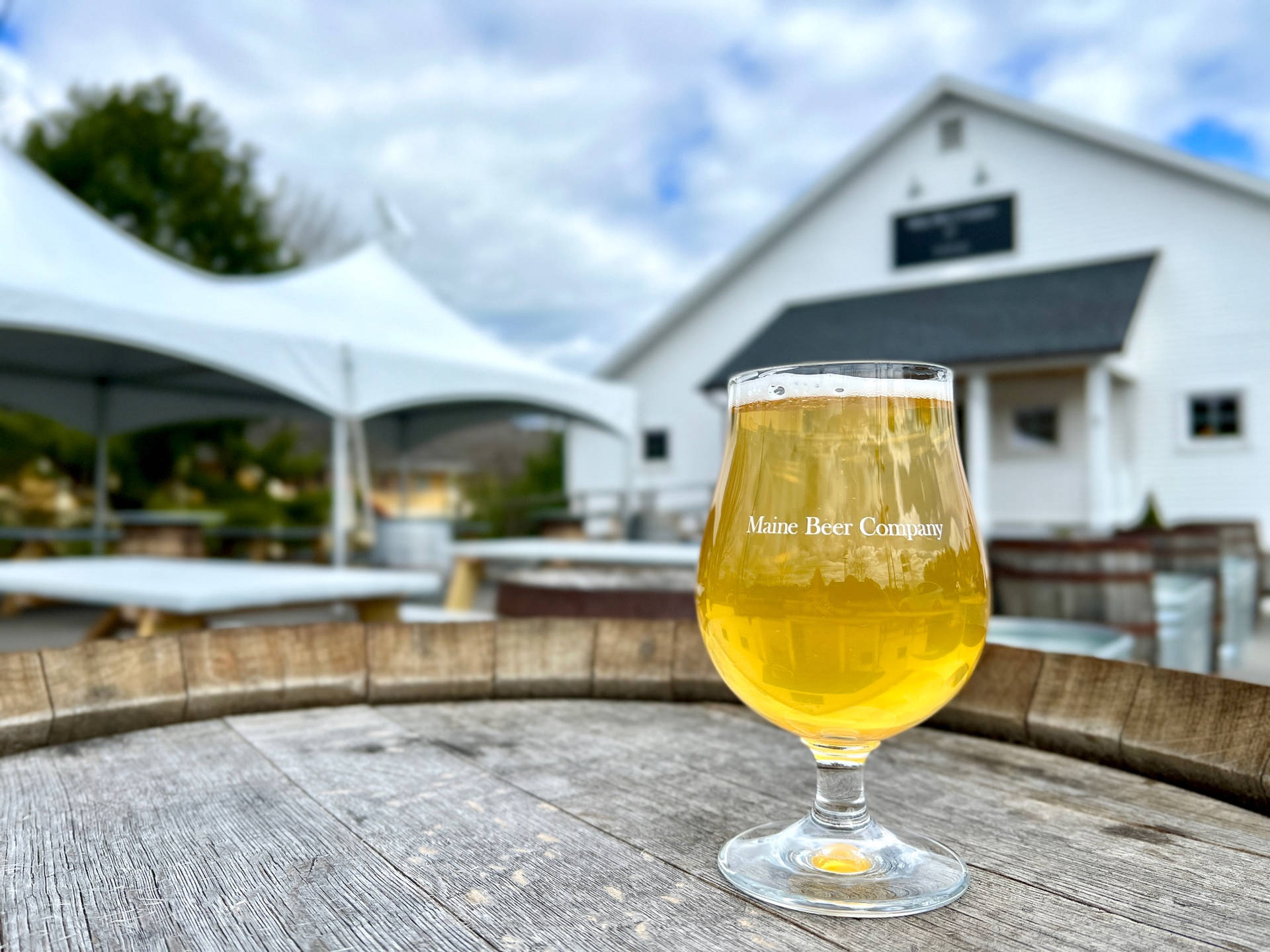 Maine Beer Company Glass Outdoors