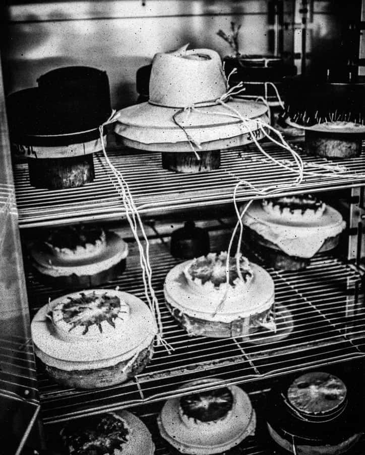 Maison Michel Hats On Display Background