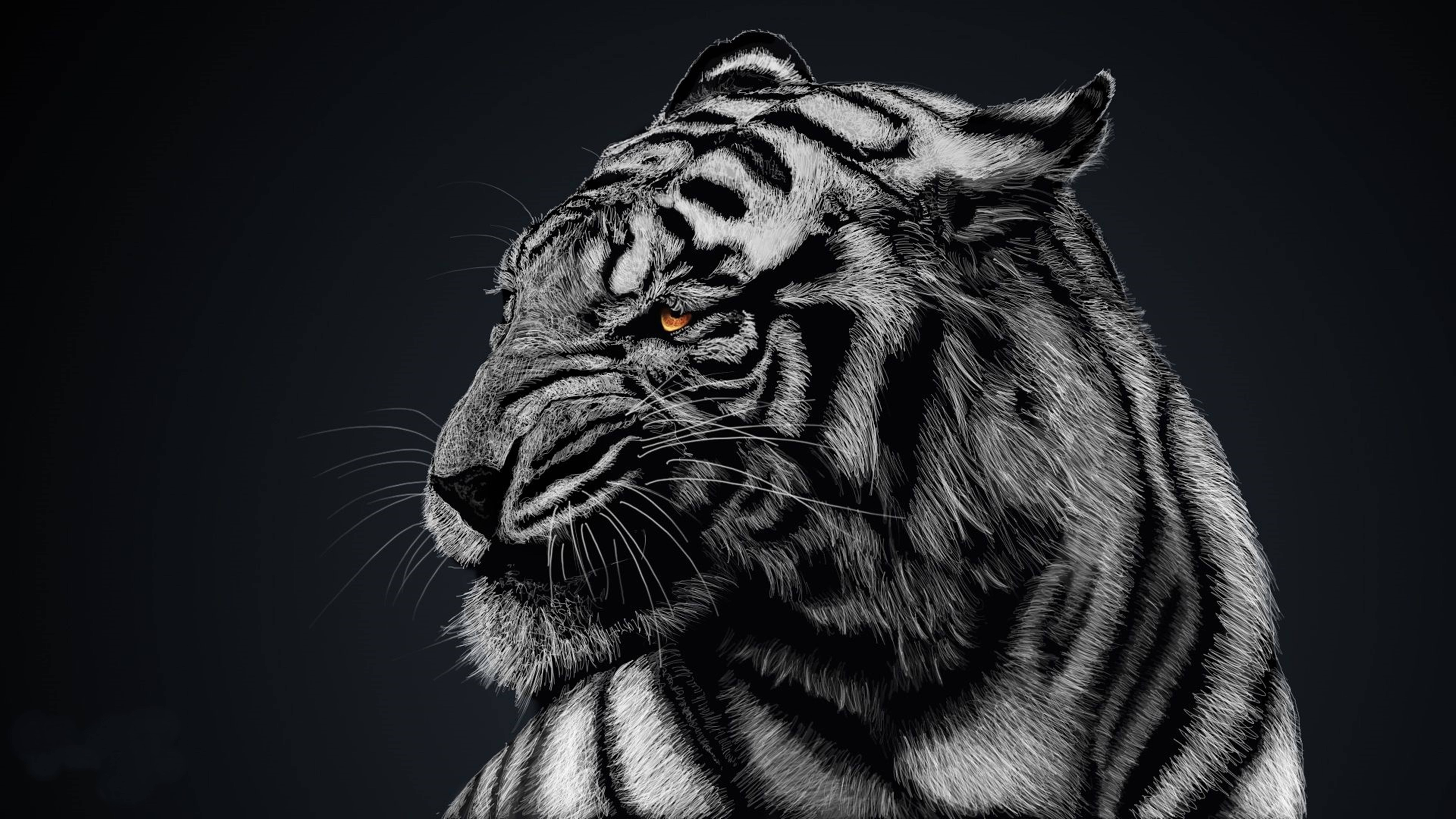 Majestic 8k Tiger In Ultra-high Definition
