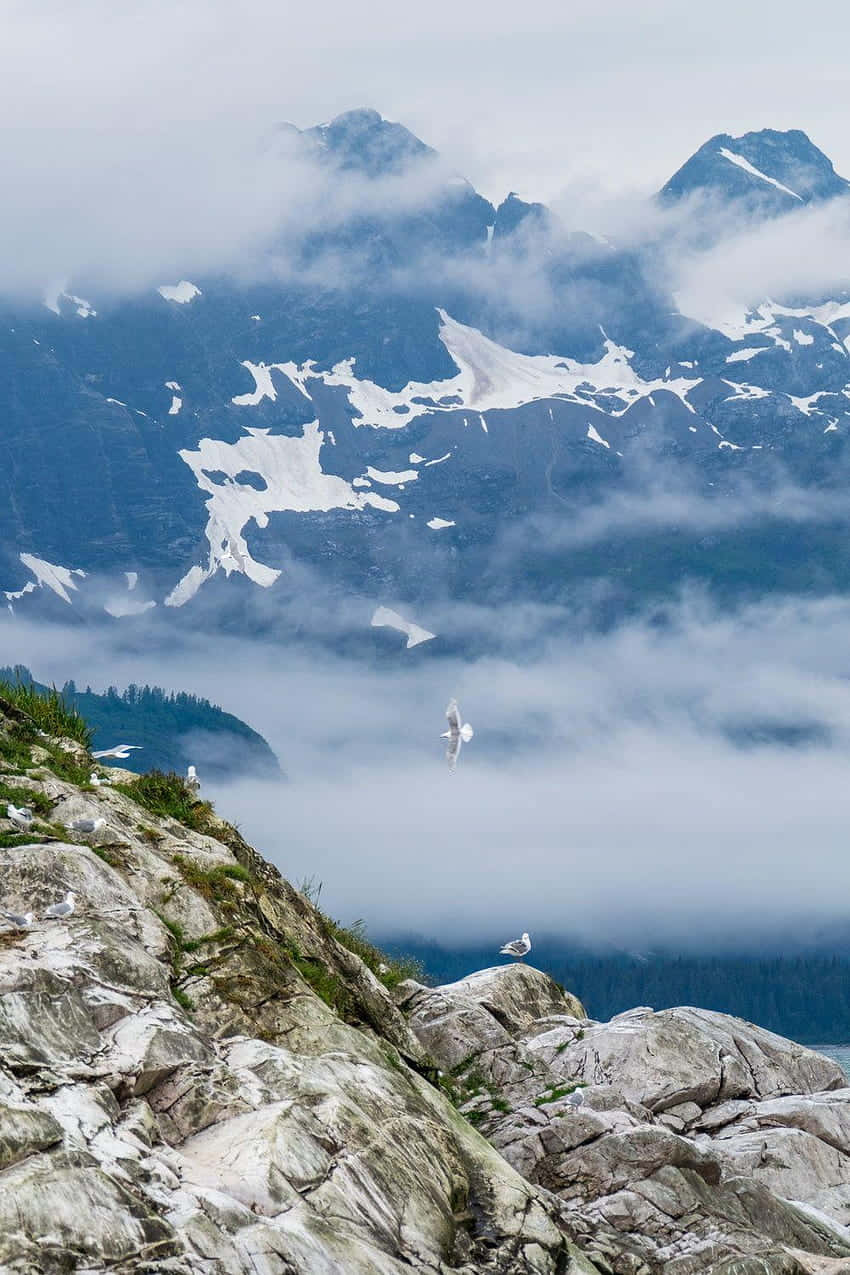 Majestic Aerial View Of Glacier Bay National Park