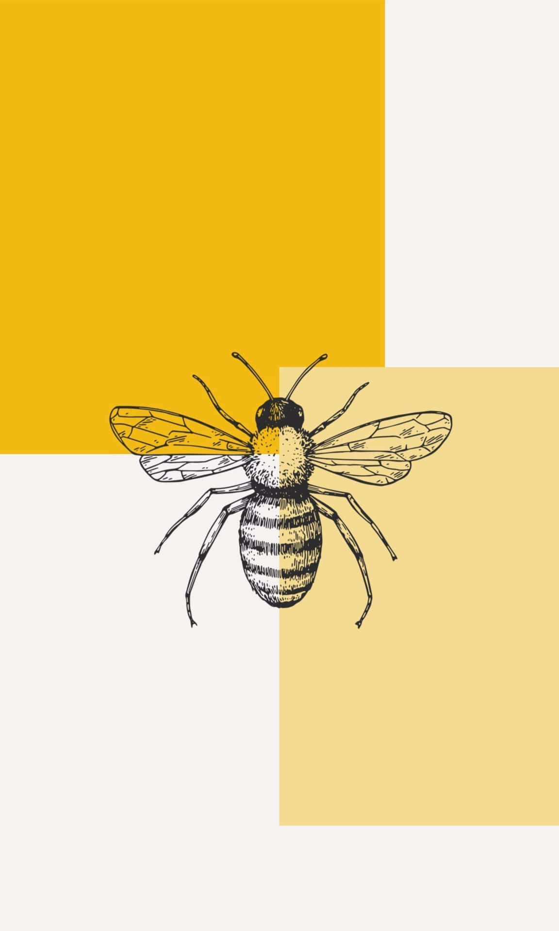 Majestic Aesthetic Bee On A Sunny Day Background