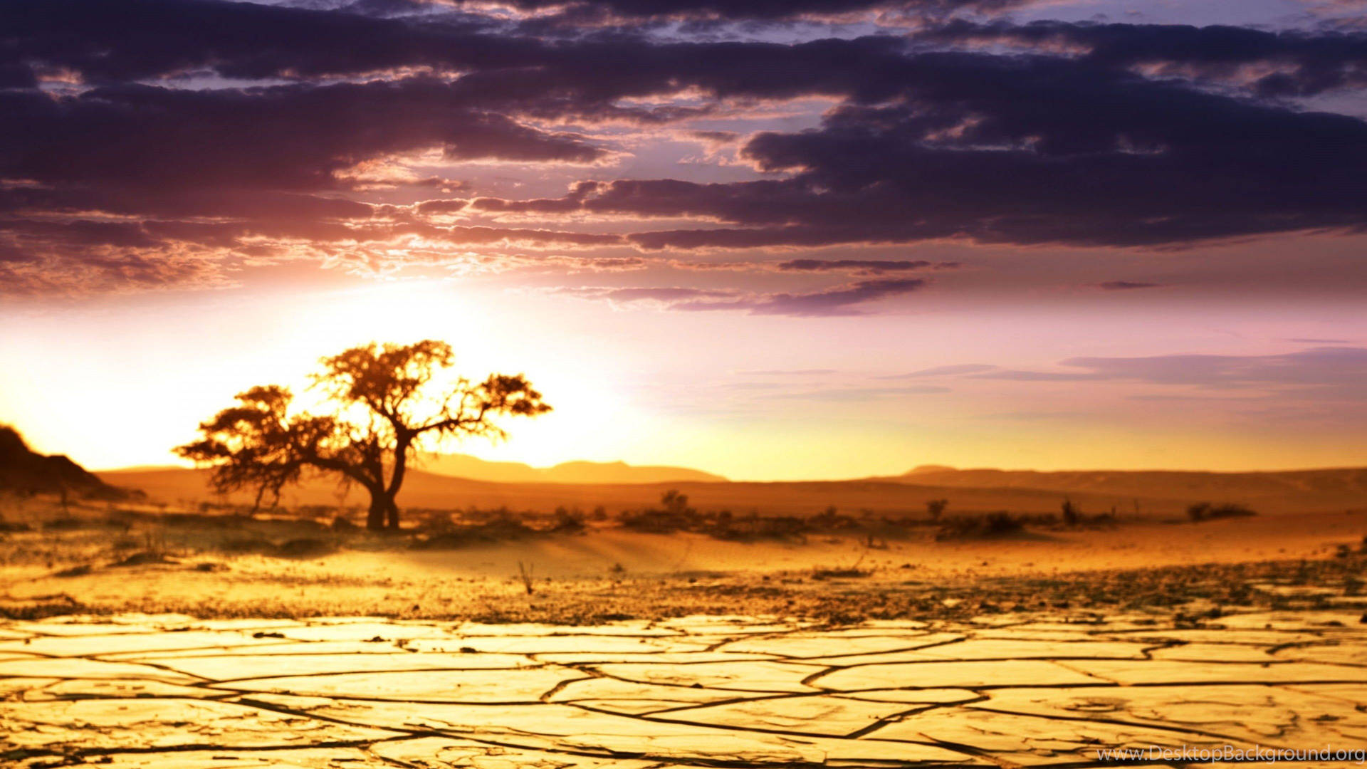 Majestic African Scenery Background