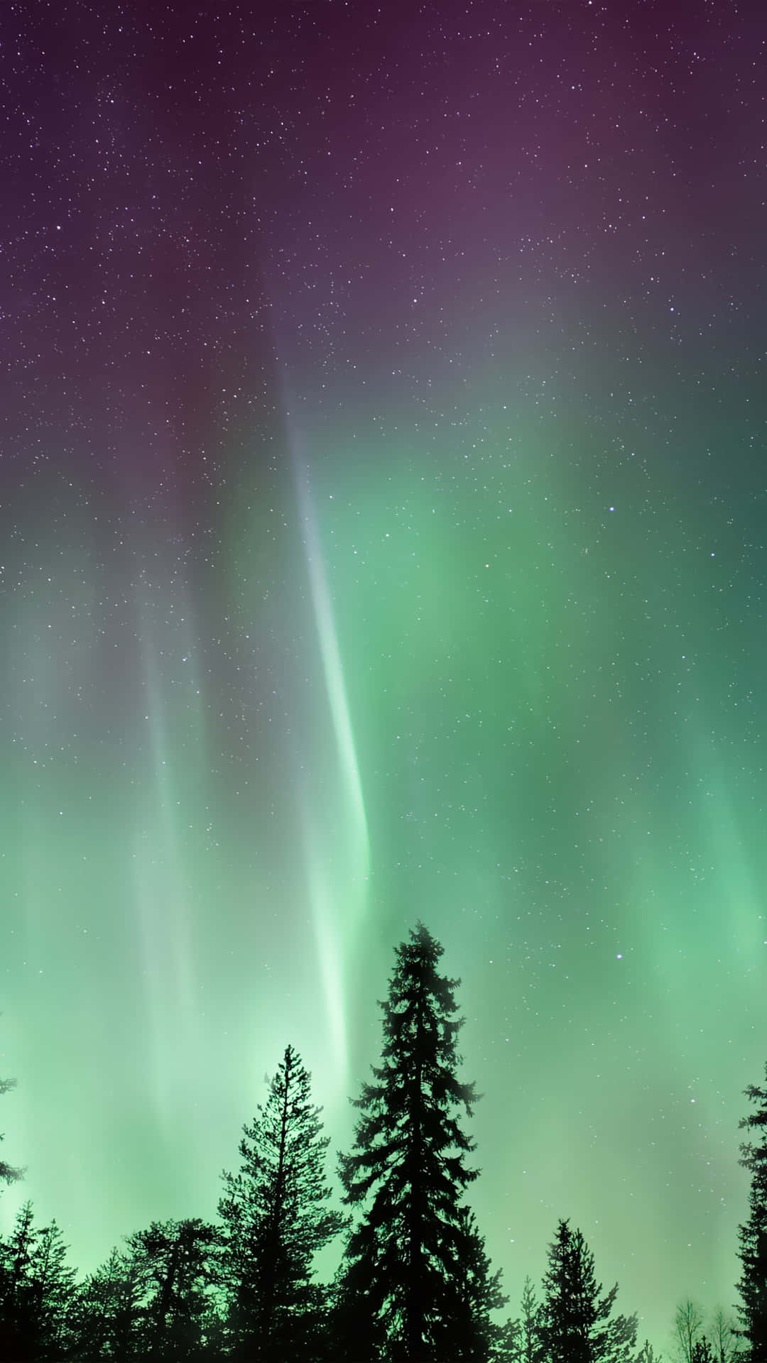 Majestic Aurora Borealis Lighting Up The Night Sky Background