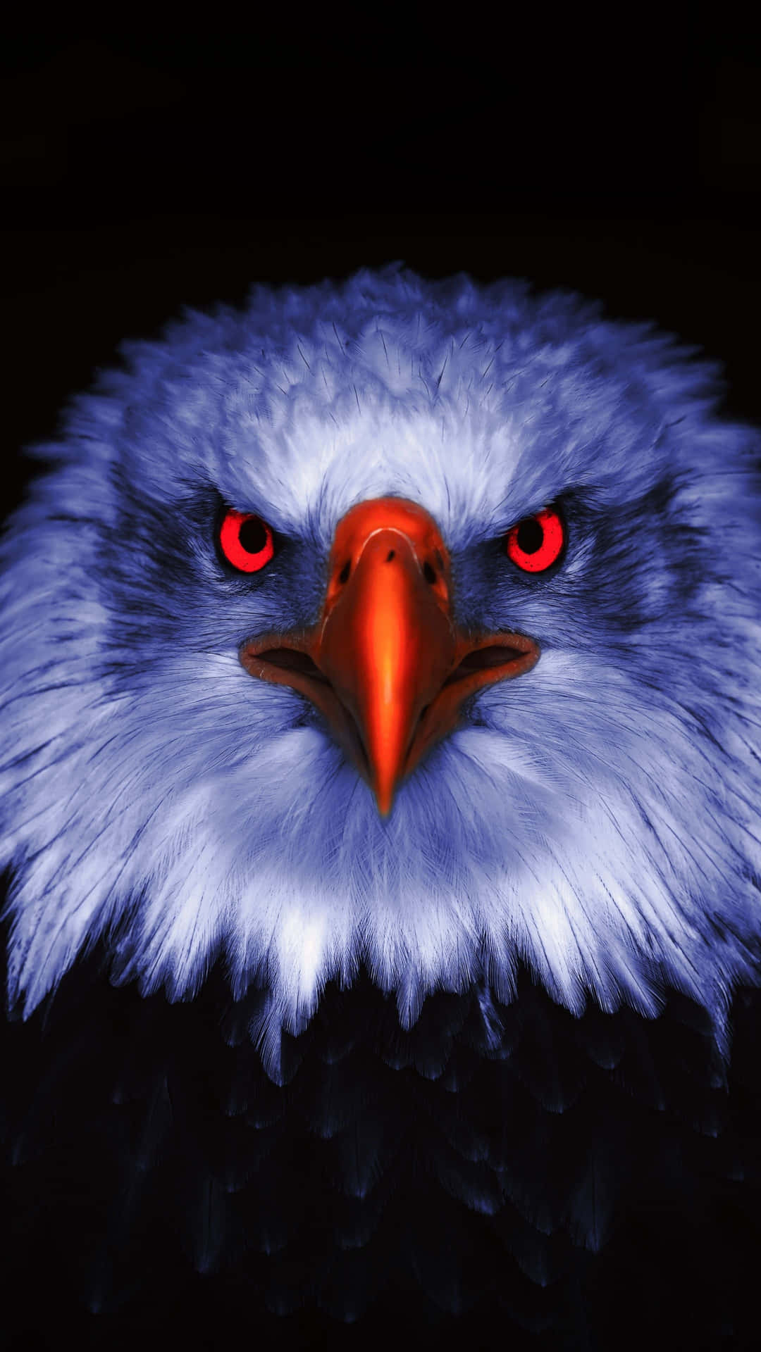 Majestic Bald Eagle Against Fiery Sky Background