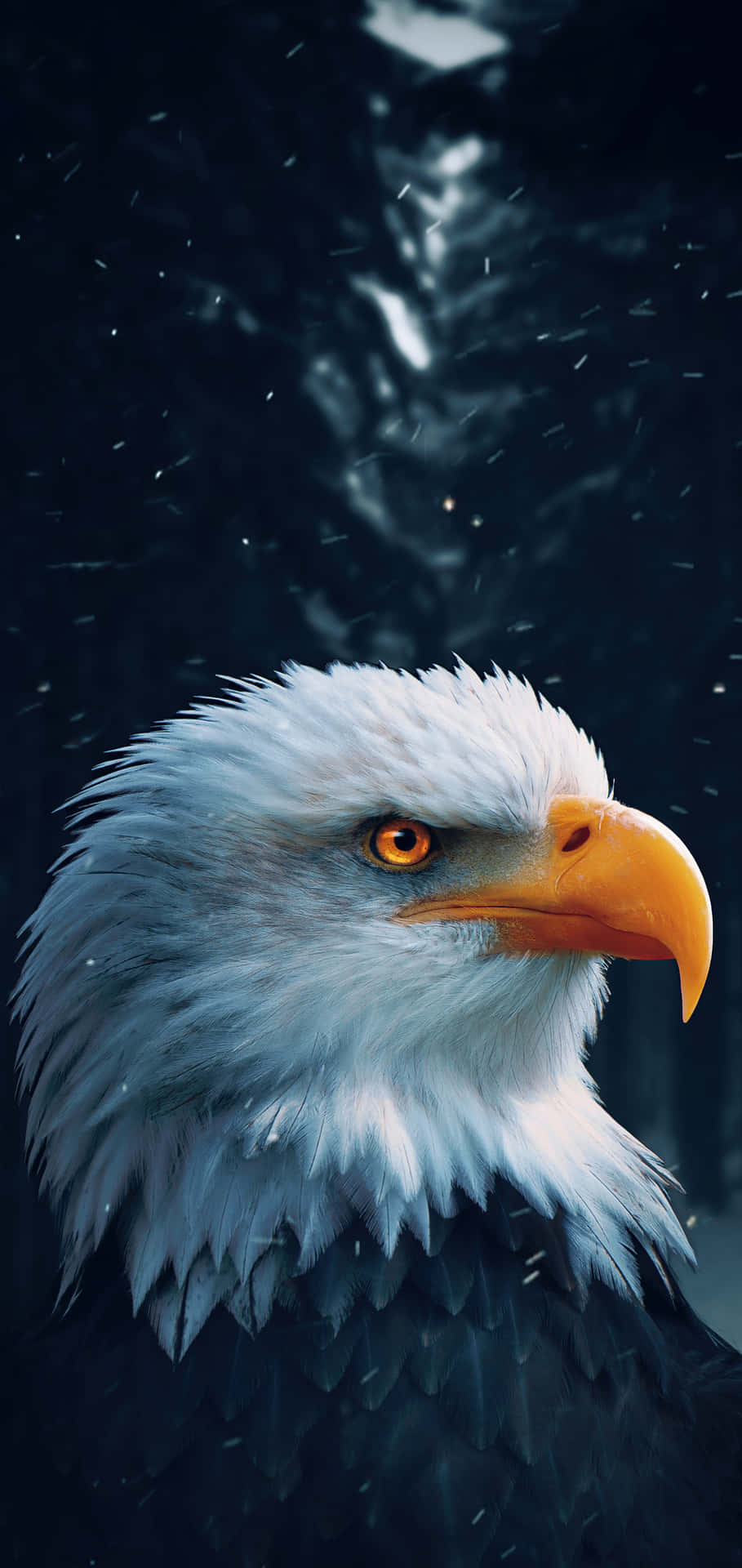 Majestic Bald Eagle Portrait Background