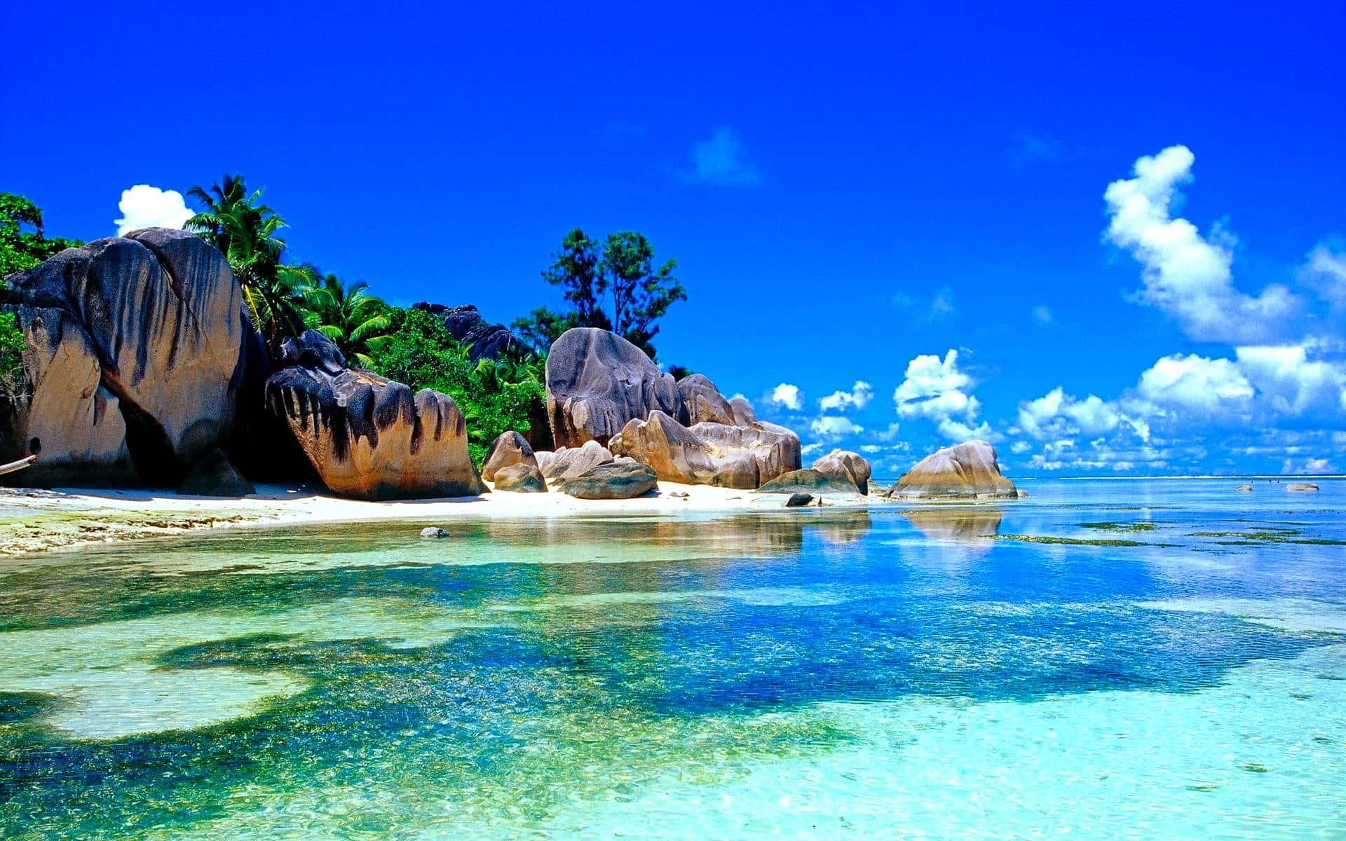 Majestic Beach Scene In Seychelles Background