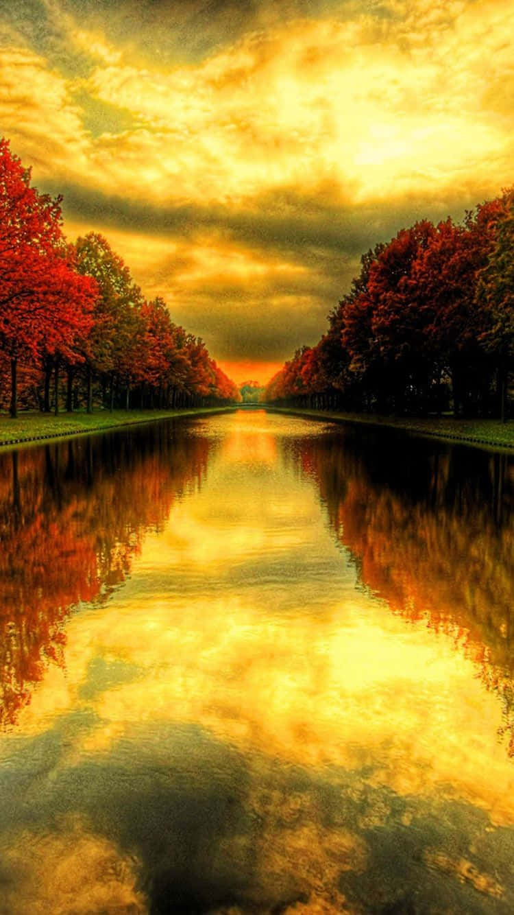 Majestic Beauty Of Fall Background