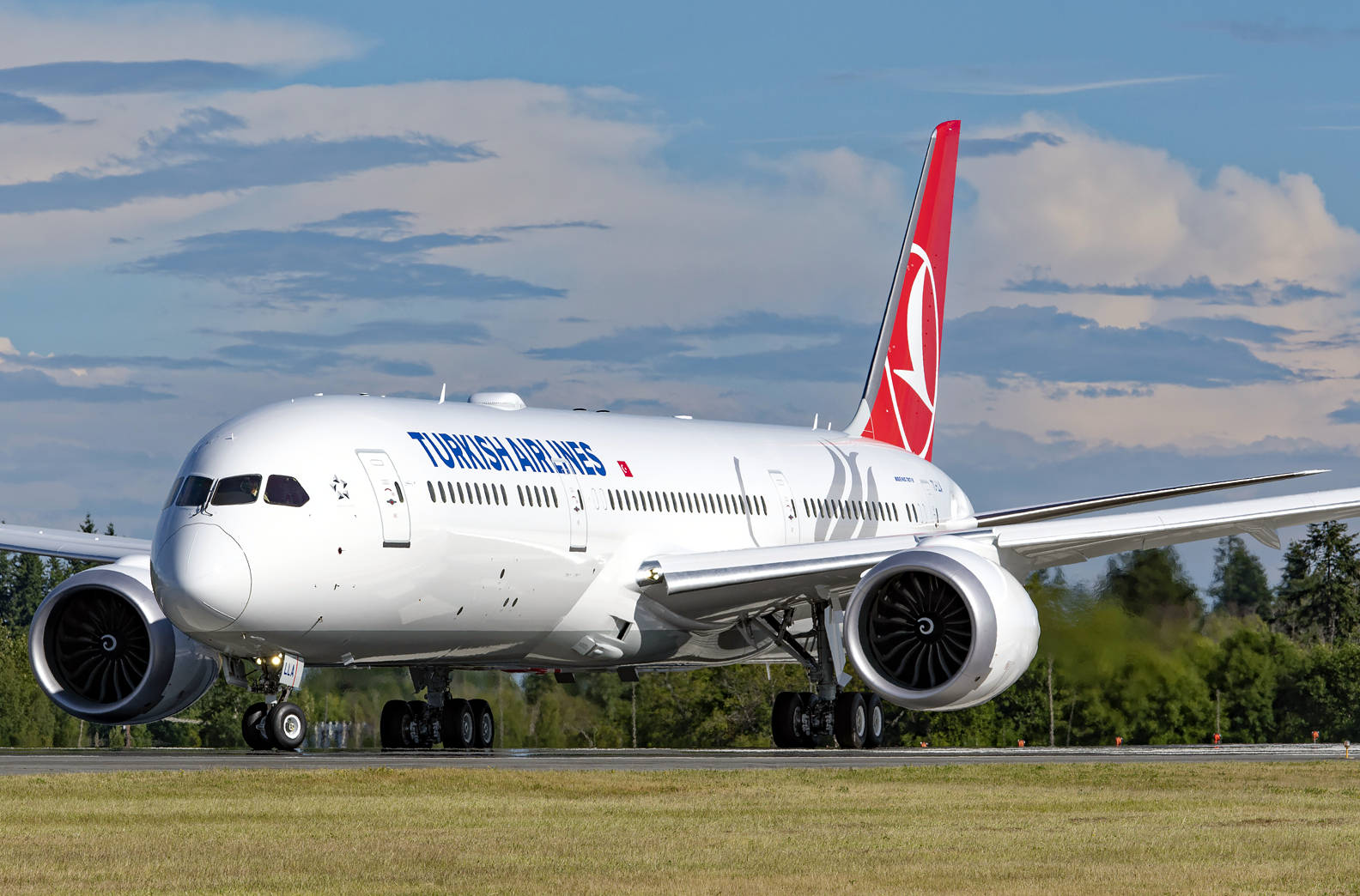 Majestic Beauty Of Turkish Airlines Boeing 787-9 Dreamliner Background