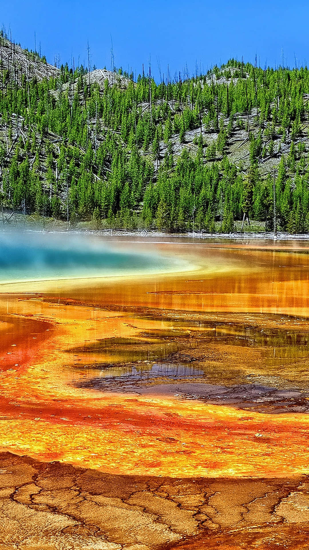 Majestic Beauty Of Yellowstone National Park Background