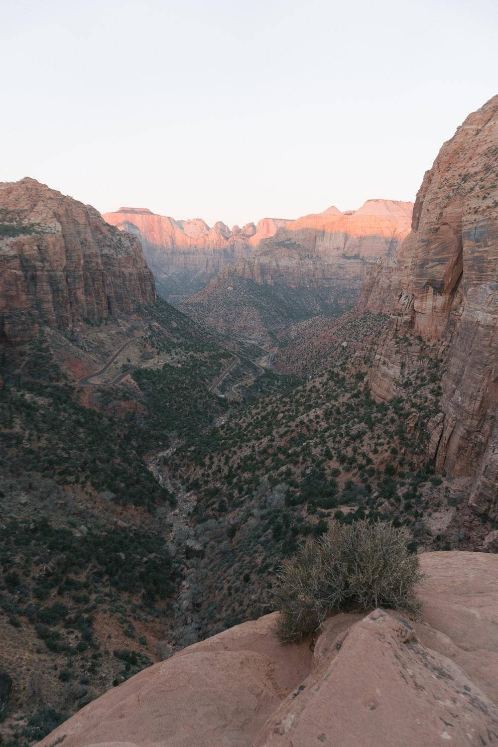 Majestic Beehive Rock Formations At Zion National Park Background