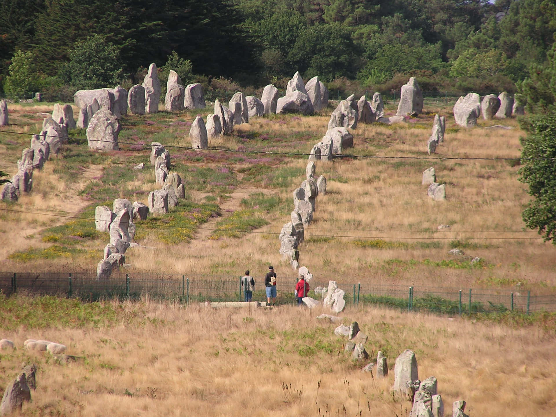 Majestic Bird's Eye View Of Carnac Stone Arrangements, France Background