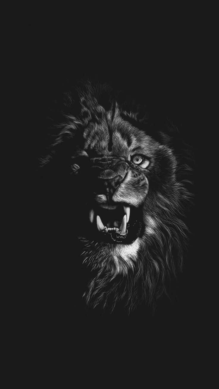 Majestic Black And White Lion Roaring Background