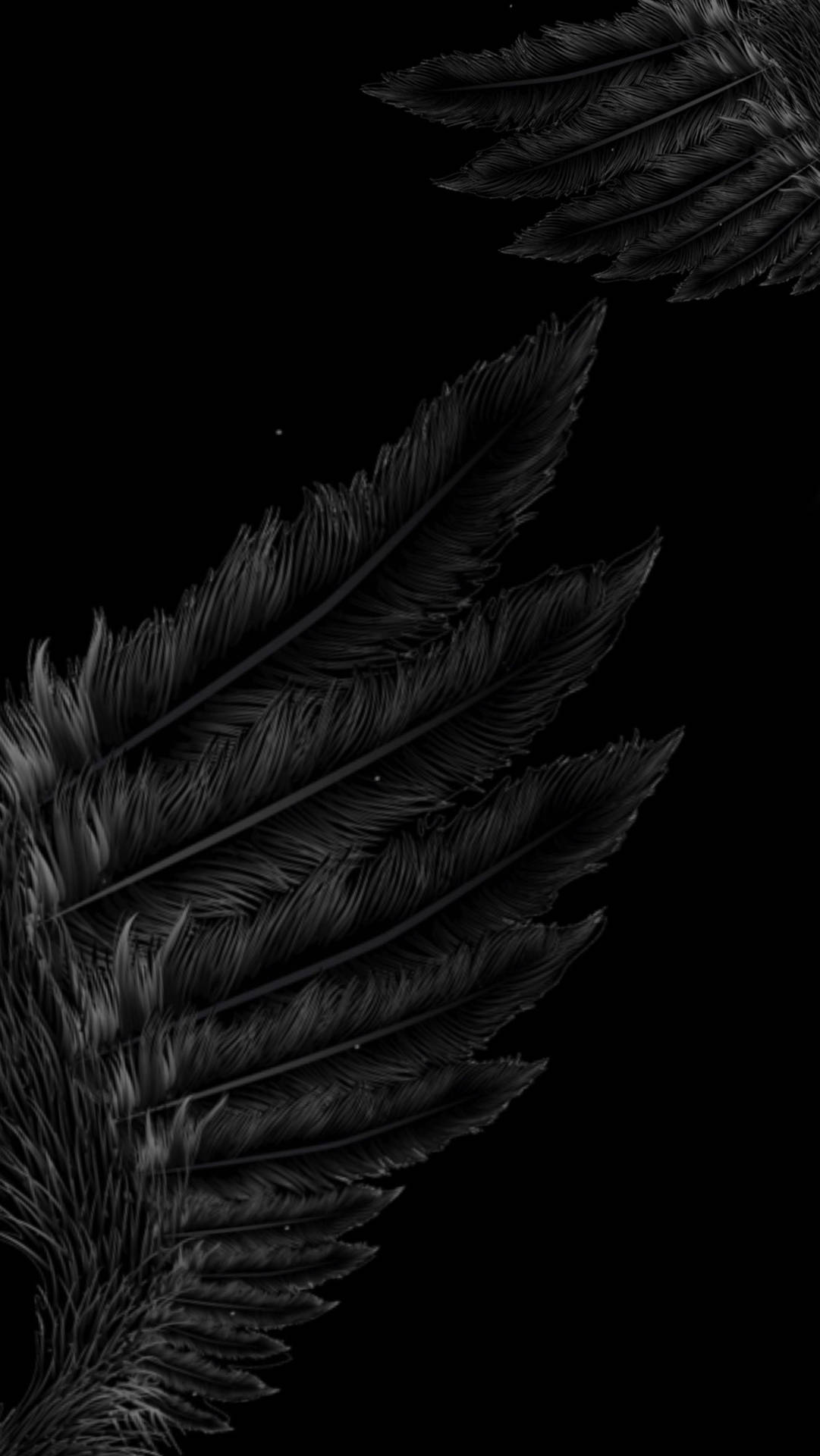 Majestic Black Angel Wings Background