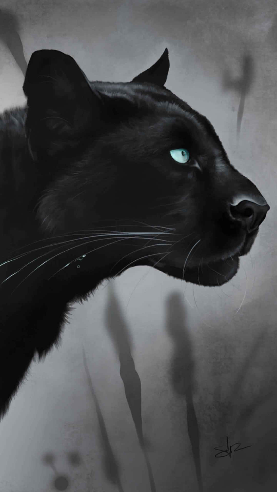 Majestic Black Jaguar Background