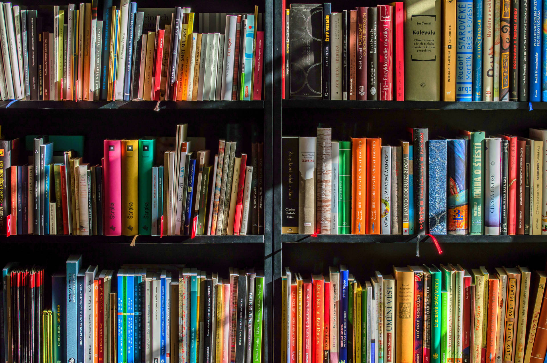 Majestic Black Wooden Bookshelf Background