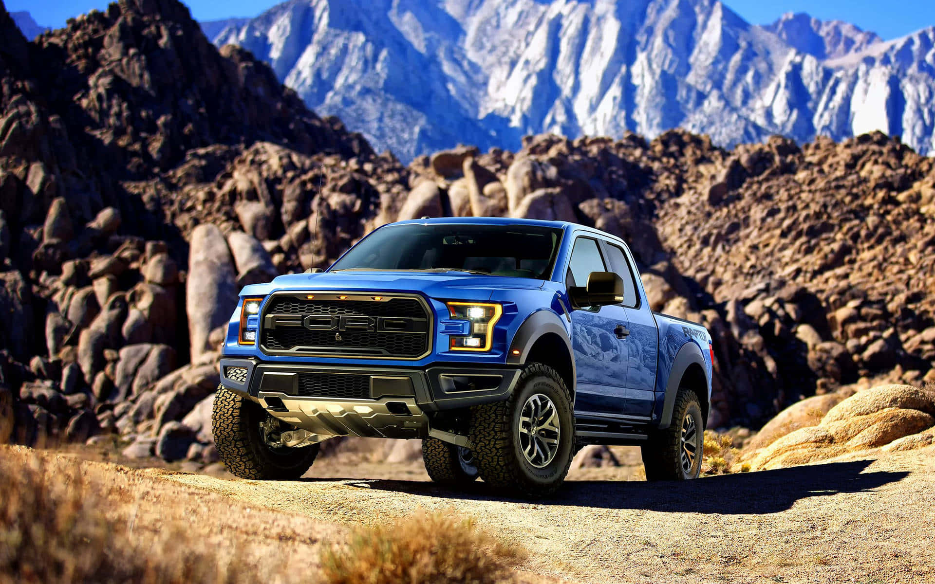 Majestic Blue 2018 Ford F-150 Raptor Pickup Truck