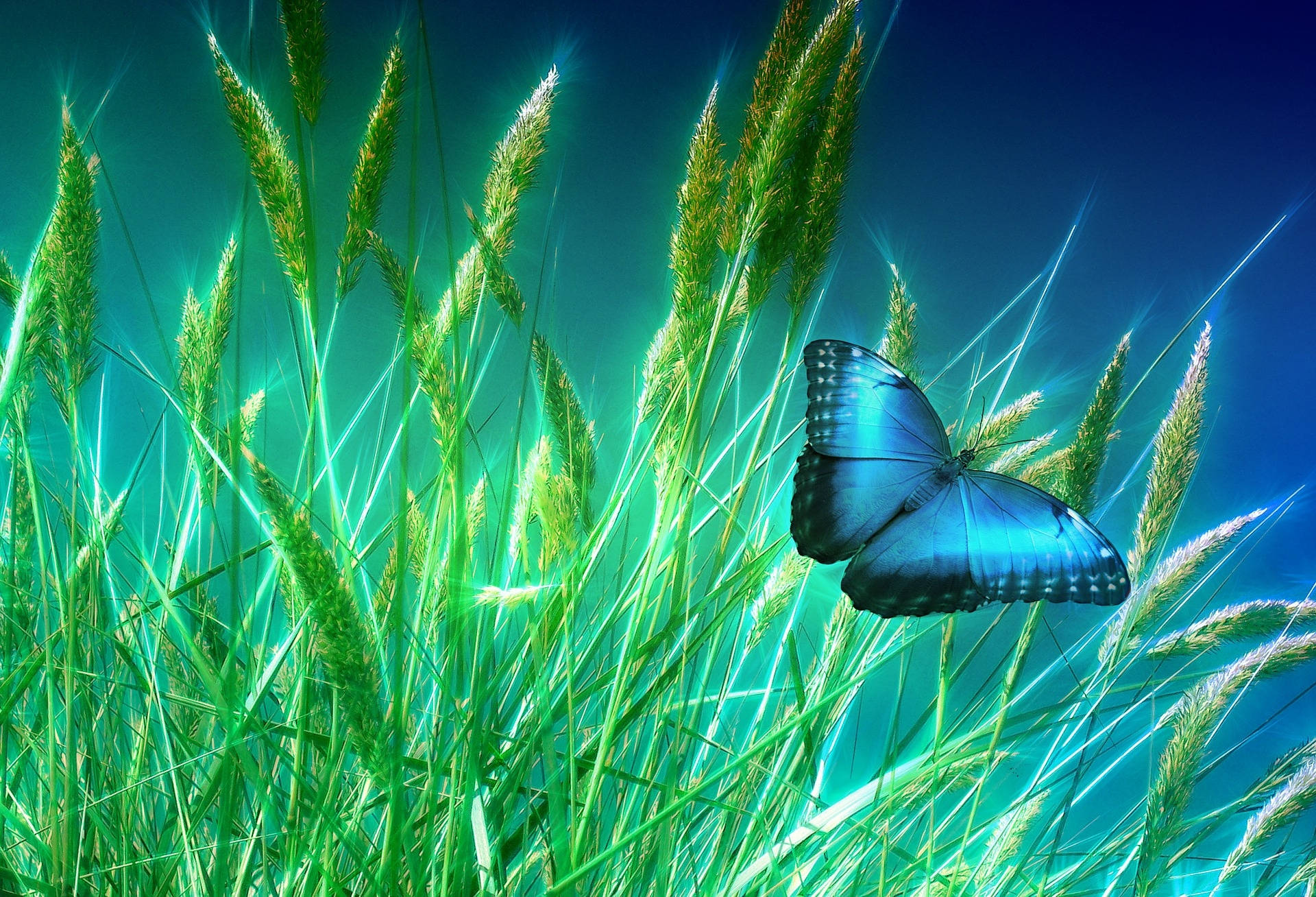 Majestic Blue Butterfly Background