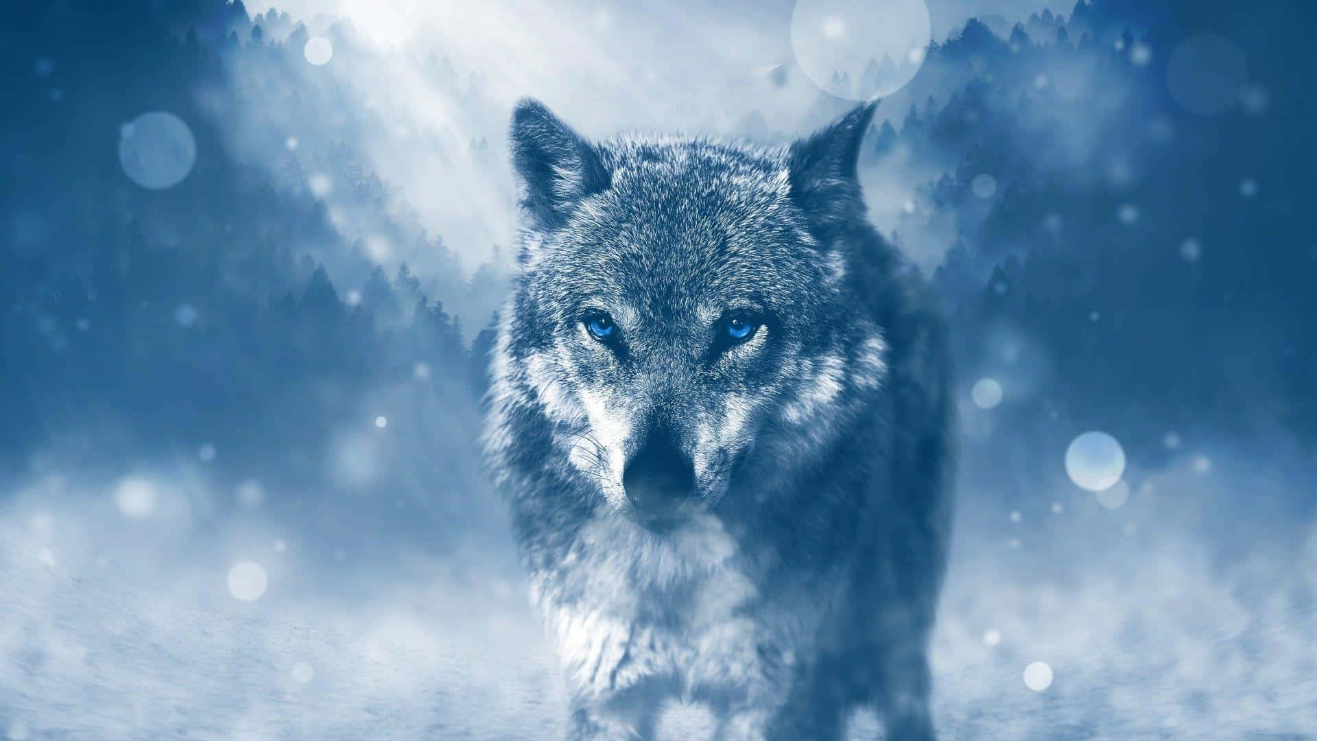 Majestic Blue-eyed Wolf Background