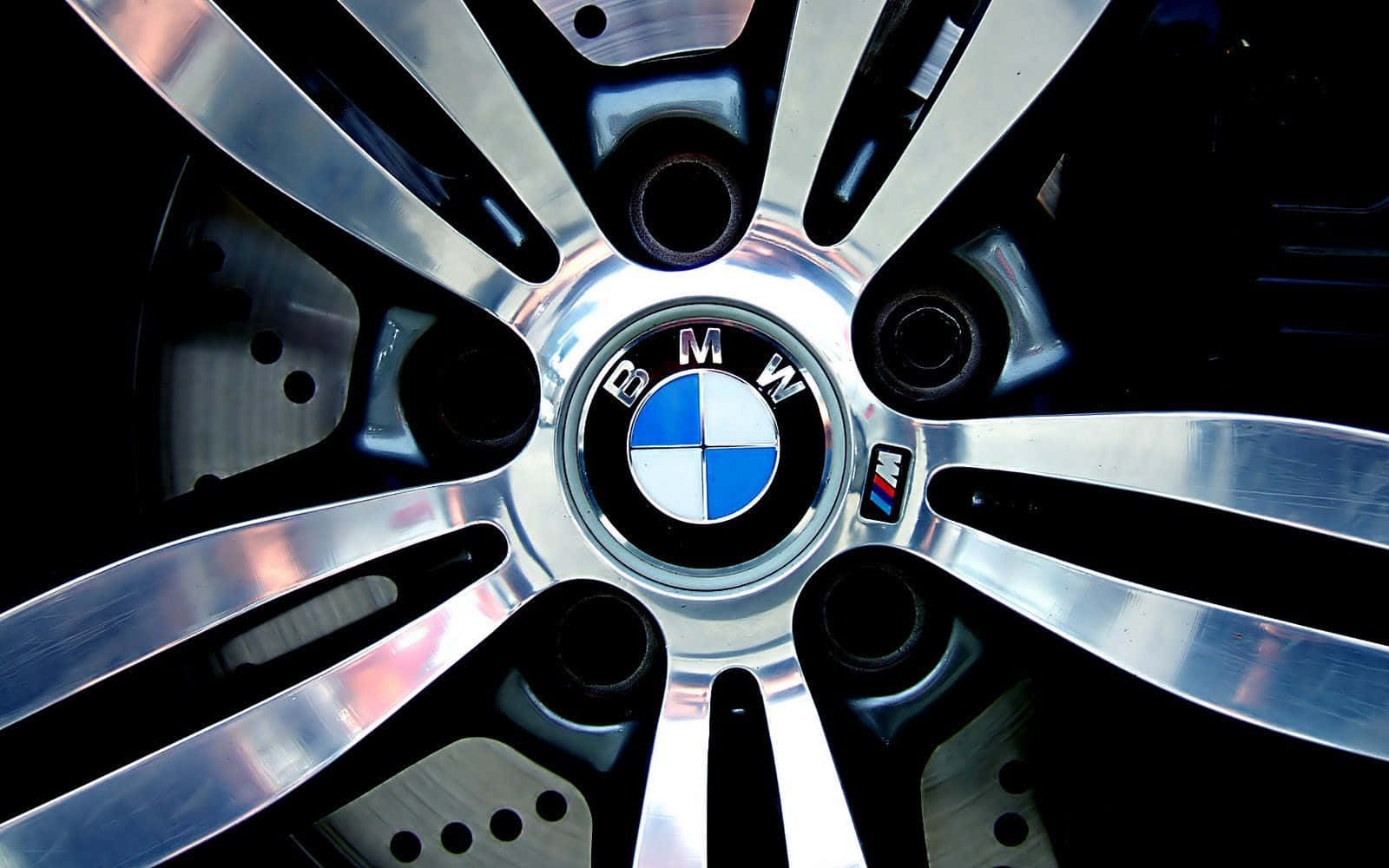 Majestic Bmw Logo On Glossy Surface Background