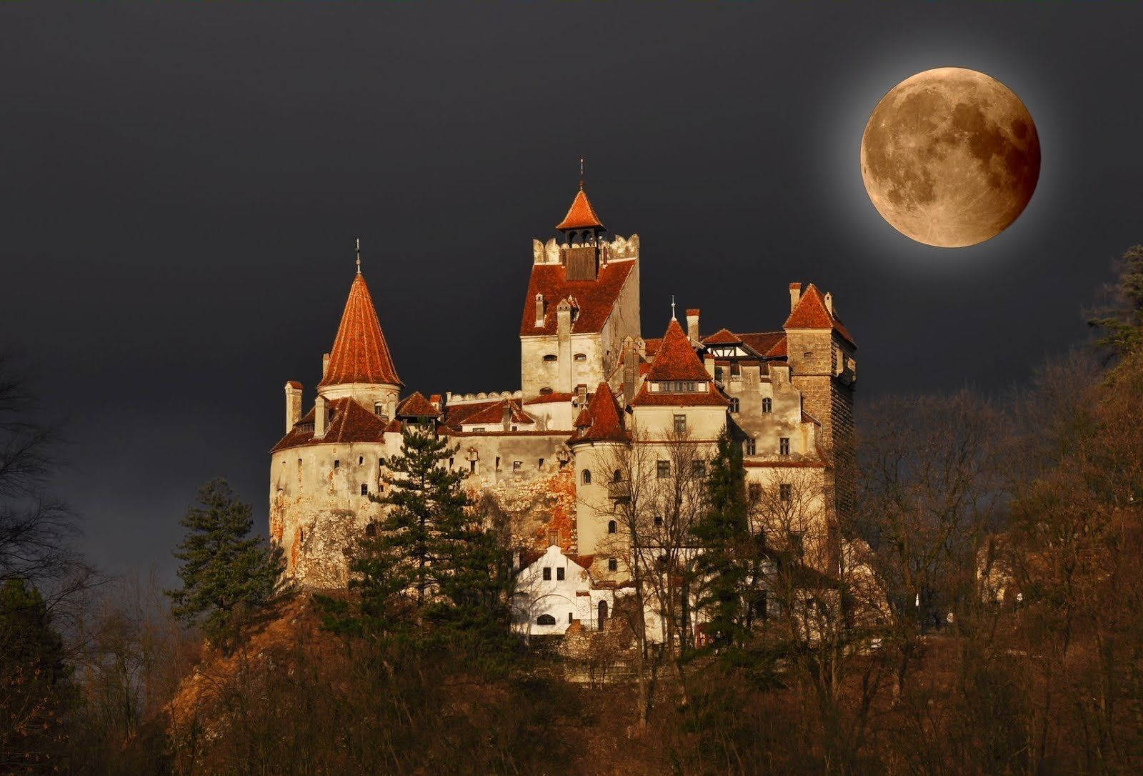 Majestic Bran Castle At Night, Romania Background