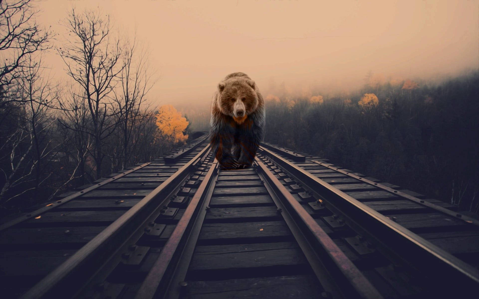 Majestic Brown Bear Roaming On Train Tracks Background